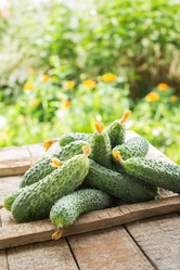 Similar image 13189022