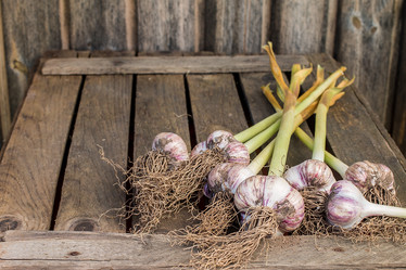 Similar image 13189026