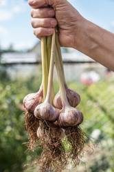 Similar image 13189042