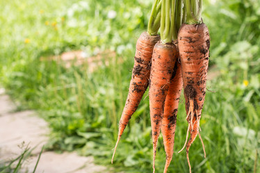 Similar image 13189044