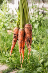 Similar image 13189045