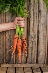 Similar image 13189047