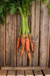 Similar image 13189048