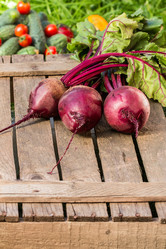 Similar image 13189055