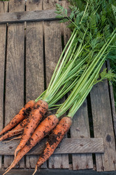 Similar image 13189059