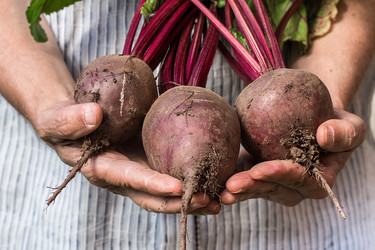 Similar image 13189060