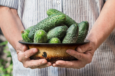 Similar image 13189061