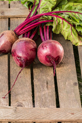 Similar image 13189063