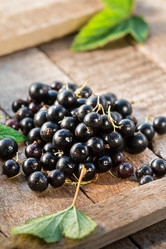 Similar image 13189070