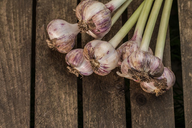 Similar image 13189076