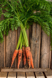 Similar image 13189078