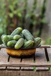 Similar image 13189097