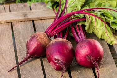 Similar image 13189098