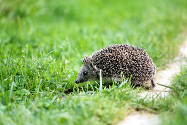 Similar image 13188900