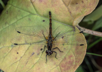 Similar image 13188640