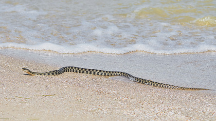 Similar image 13188648