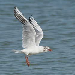 Similar image 13188654