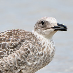 Similar image 13188656