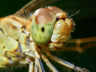 Similar image 13188658