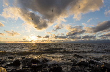 Similar image 13189886