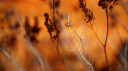 Similar image 13188800