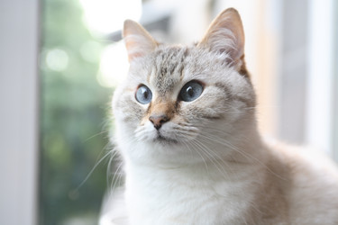 Similar image 13188821