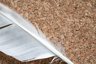 Similar image 13188822