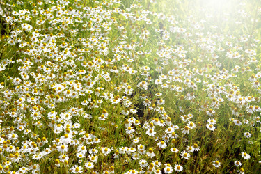 Similar image 13188823