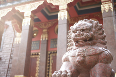 Similar image 13188832