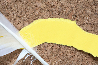 Similar image 13188848