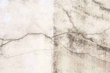 Similar image 13188856