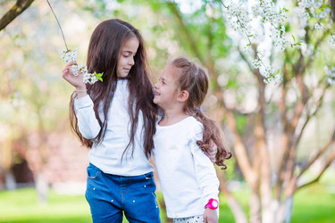 Similar image 13208318