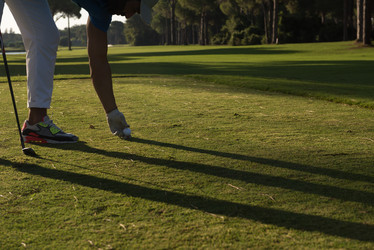 Similar image 13229781