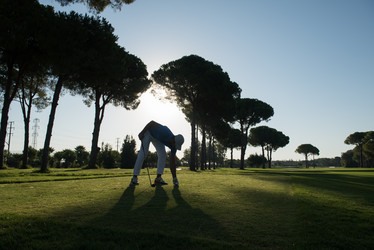 Similar image 13239510