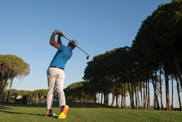 Similar image 13239630