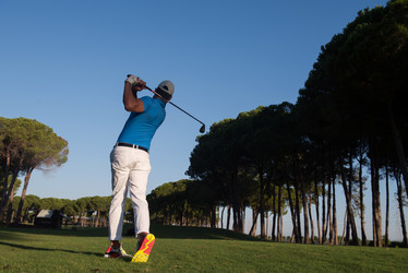 Similar image 13239824