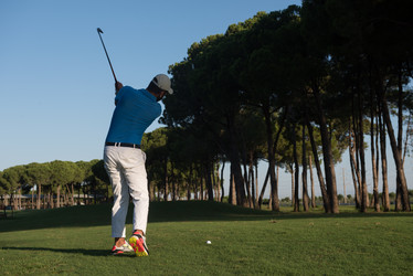 Similar image 13239864