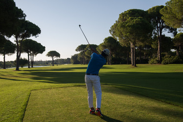 Similar image 13240023