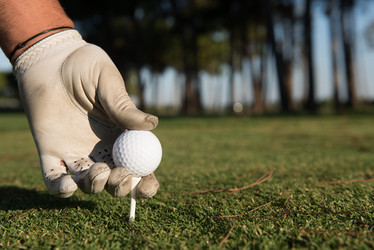 Similar image 13240249