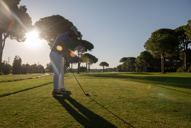 Similar image 13237011