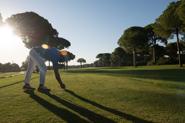 Similar image 13237046