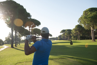 Similar image 13237262