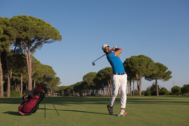 Similar image 13237509