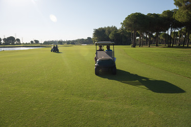 Similar image 13239885