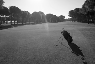 Similar image 13237049