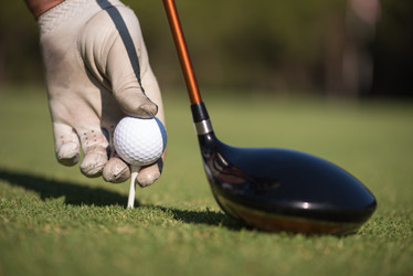 Similar image 13240761