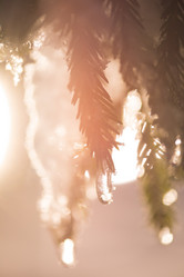 Similar image 13236589