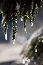 Similar image 13236704