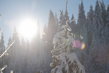 Similar image 13235099