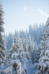 Similar image 13235167